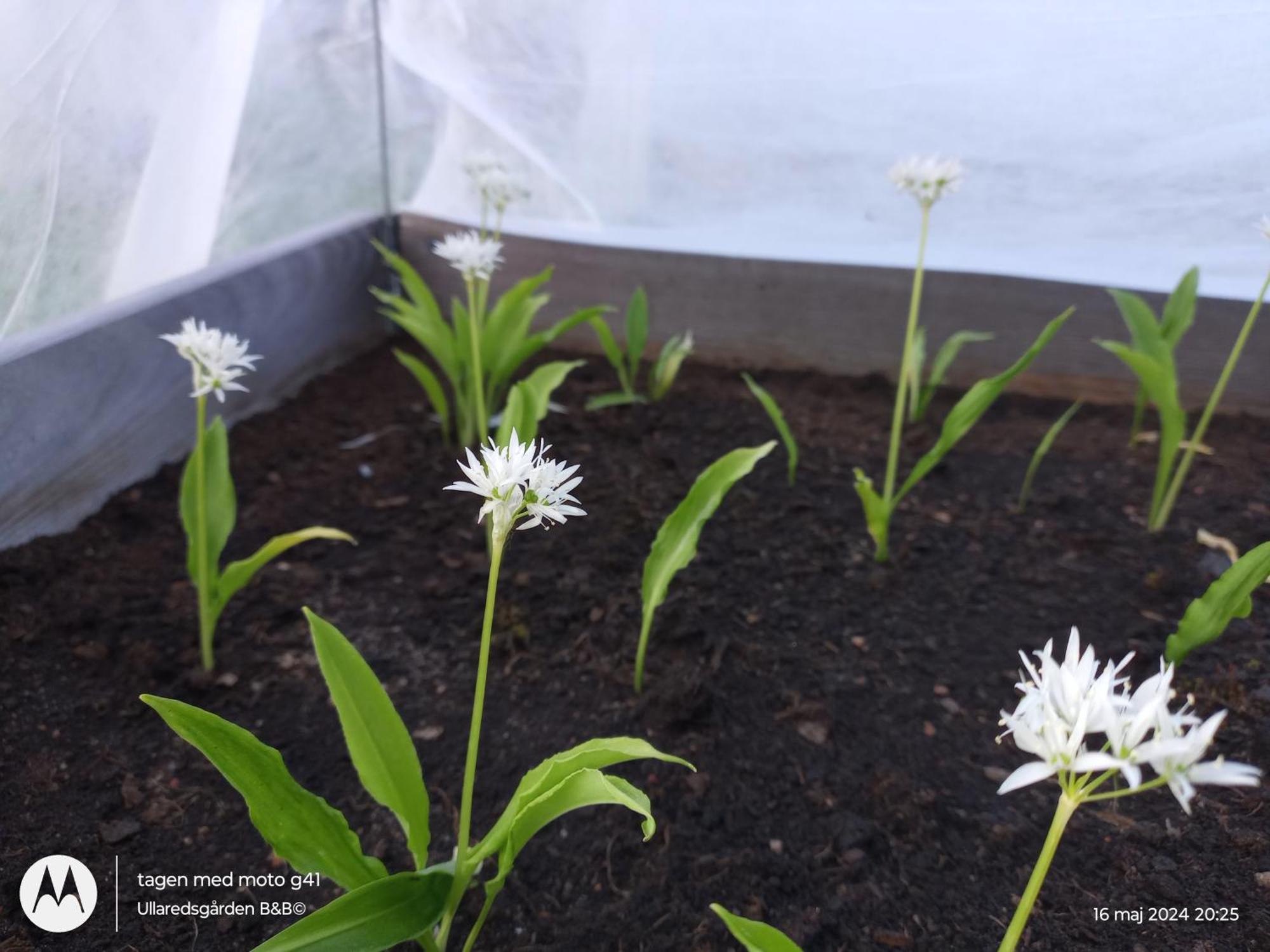Ullaredsgarden B&B Express 外观 照片
